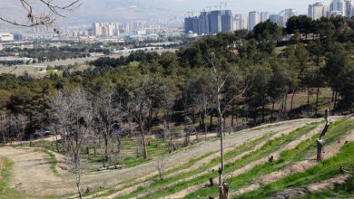 منطقه سبز تهران کجاست؟