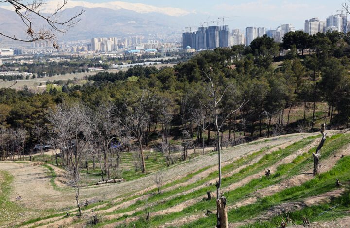 منطقه سبز تهران کجاست؟