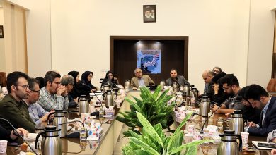 مسکن قابل استطاعت، نسخه تدریجی