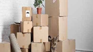 اقتصاد ازدواج در عصر وسایل دستدوم