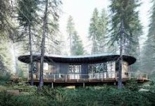 جنگل‌ ها زیر تیغ تقاضای مسکن