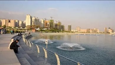 تکذیب شایعات درباره حضور پشه‌های خطرناک در دریاچه چیتگر